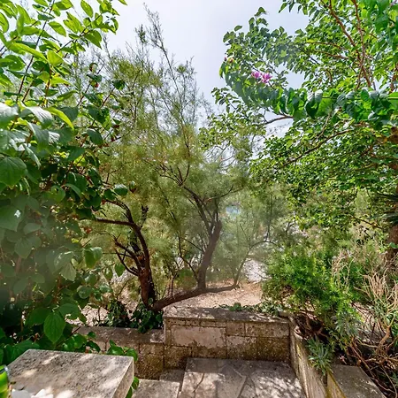 Vakantiehuis Seaside House For Families With Children Cove Rasohatica, Korcula - 4386 Lumbarda
