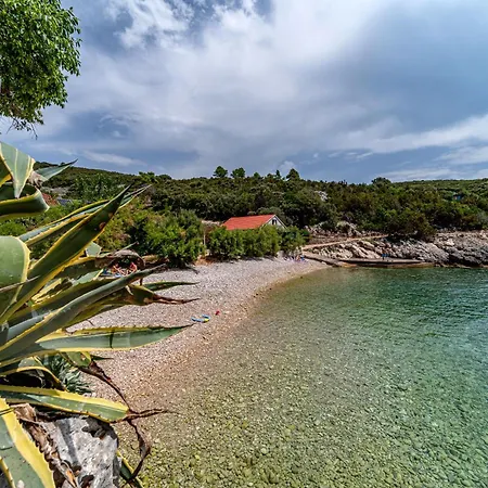Vakantiehuis Seaside House For Families With Children Cove Rasohatica, Korcula - 4386